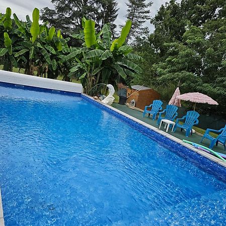 Domaine Mon Doux Reve Bed & Breakfast Terrasson Exterior foto