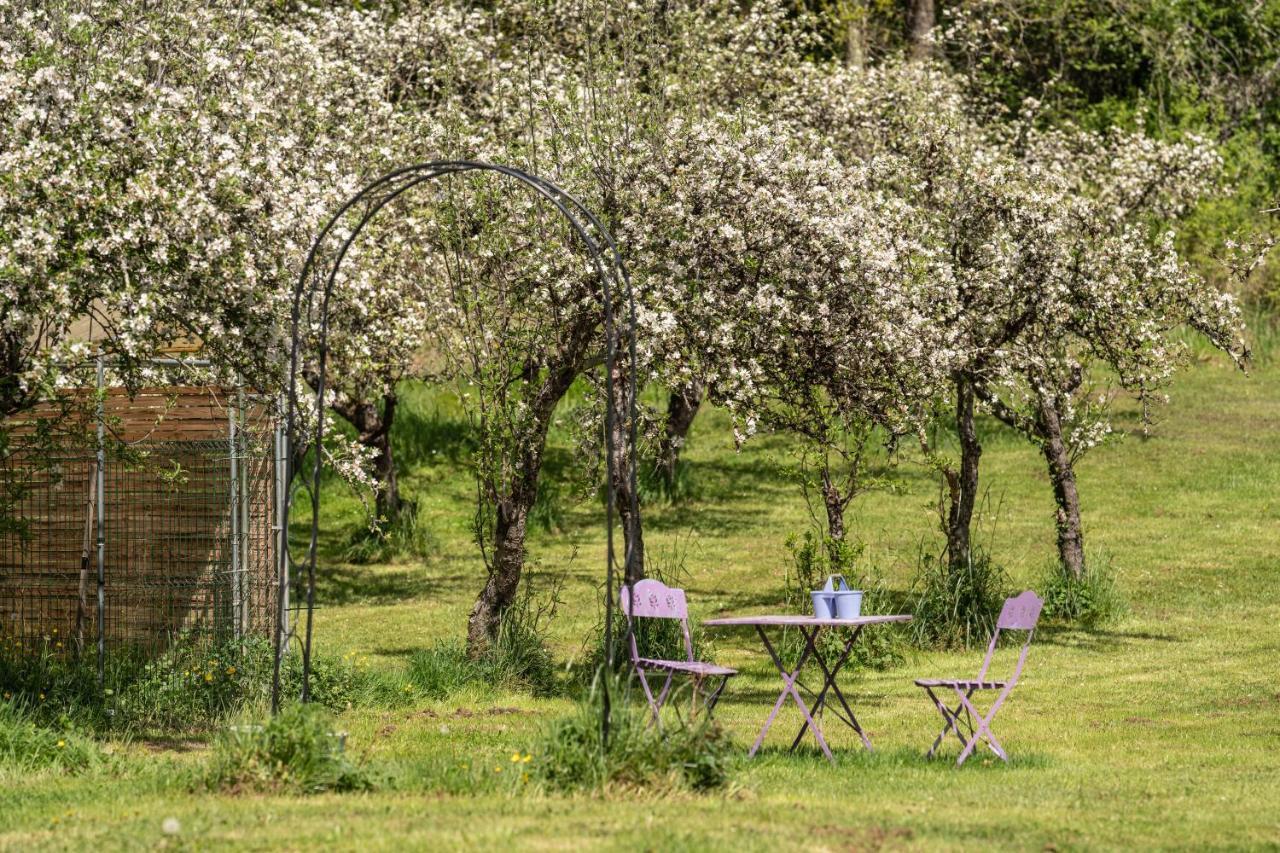 Domaine Mon Doux Reve Bed & Breakfast Terrasson Exterior foto
